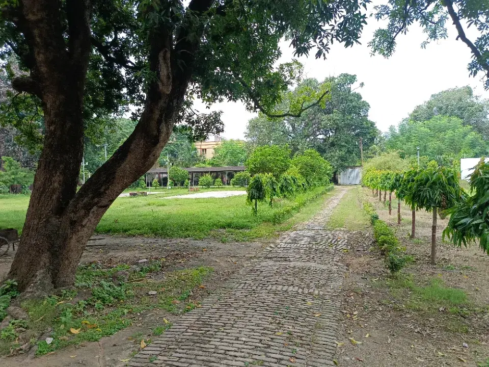 BHU Parking area and Pathway photo 2